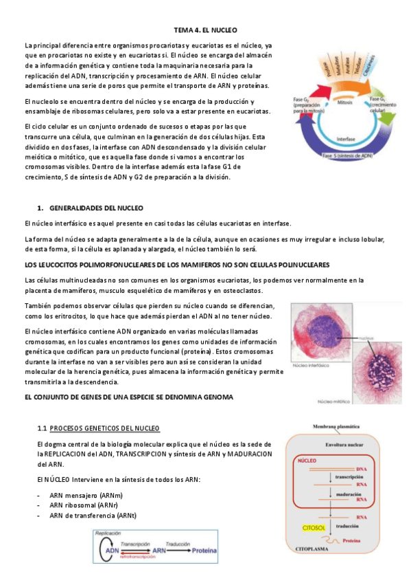 Miniatura del documento TEMA-4-PROCESOS-III.pdf