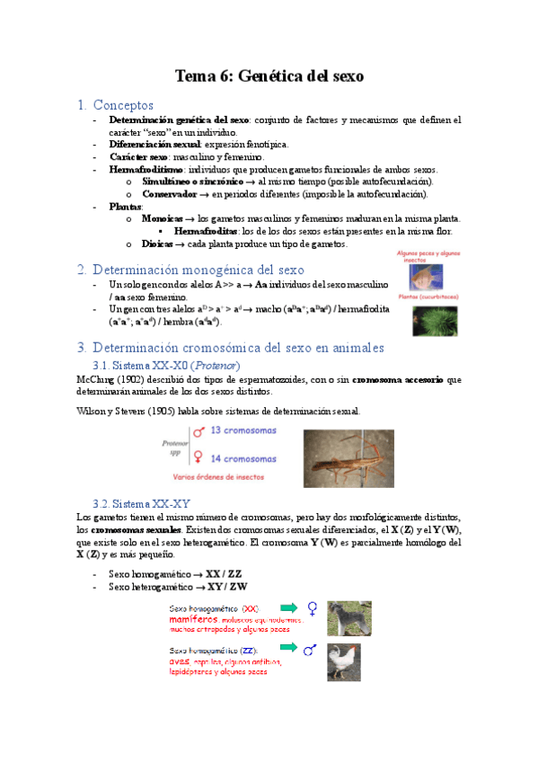 Miniatura del documento Tema-6.pdf