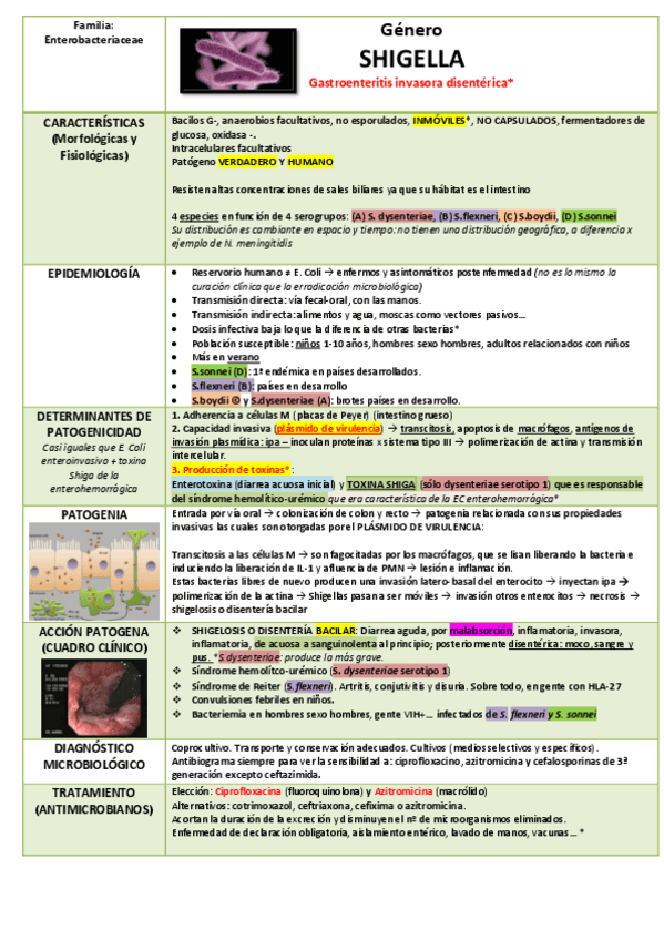 Miniatura del documento Genero-Shigella-y-Salmonella-1.pdf
