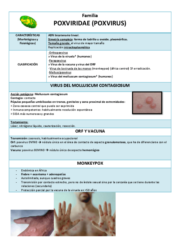 Miniatura del documento Poxviridae-Adenoviridae-Papillomaviridae-Polyomaviridae-y-Parvoviridae.pdf