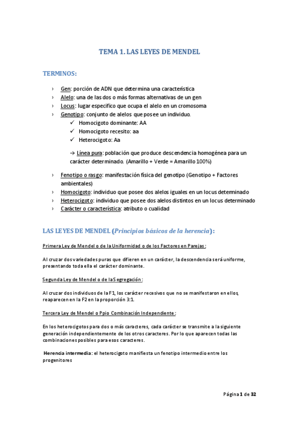 Miniatura del documento Apuntes (tema 1-11).pdf