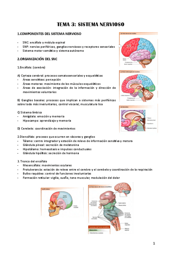 Miniatura del documento tema-3-2023-24.pdf