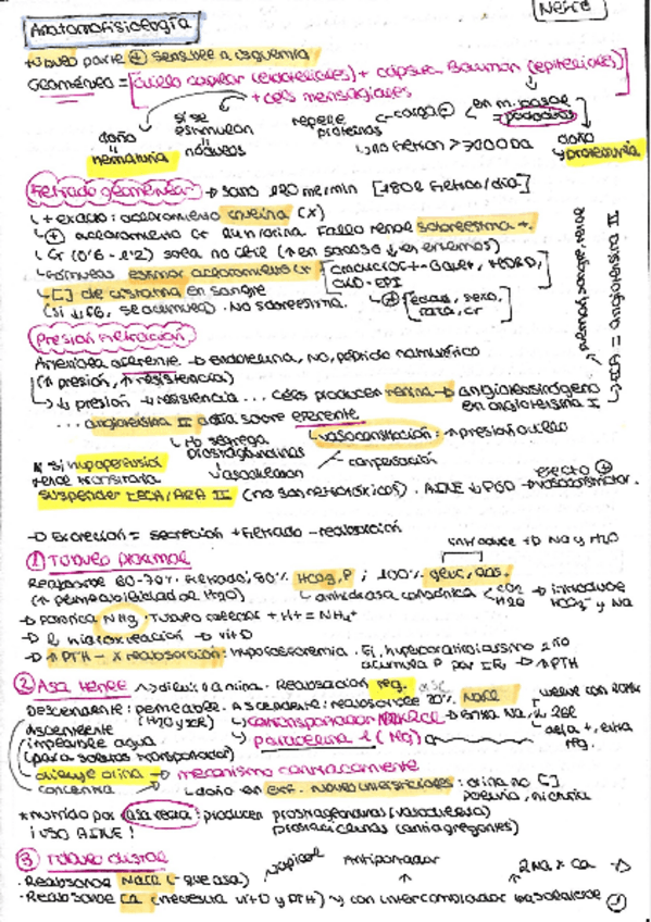 Miniatura del documento resumen-nefro.pdf
