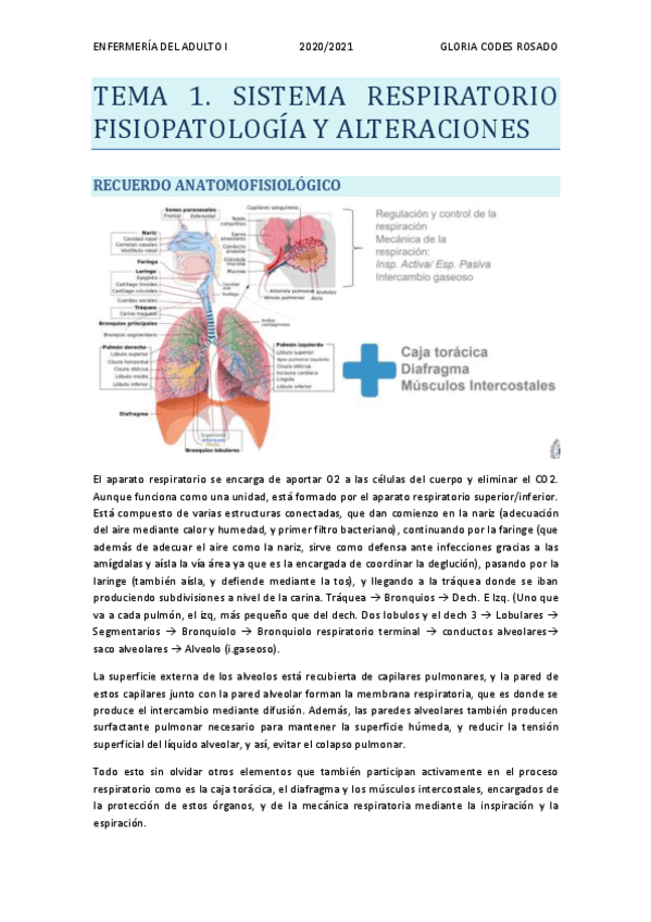 Miniatura del documento APUNTES-ADULTO-2020-2021.pdf