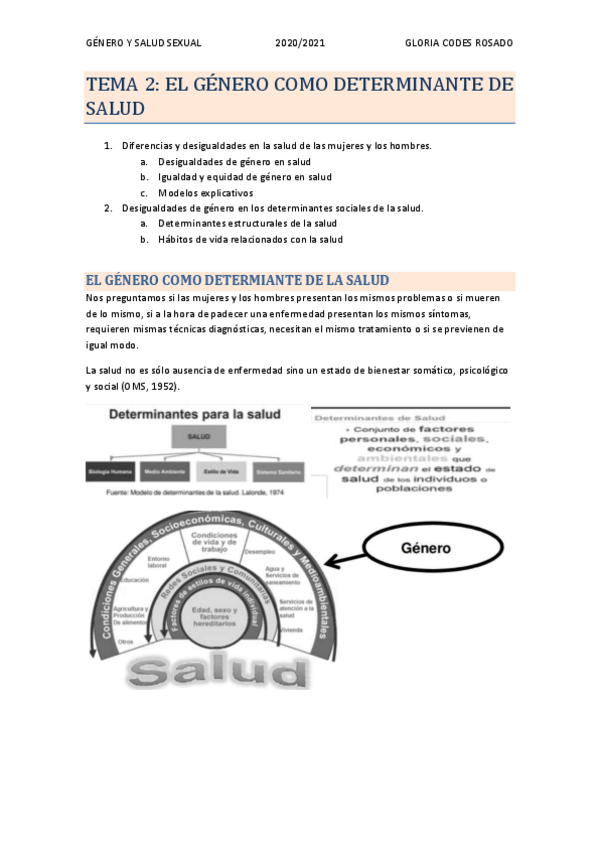 Miniatura del documento TEMA-2-EL-GENERO-COMO-DETERMINANTE-DE-LA-SALUD-GLORIA-CODES-ROSADO.pdf