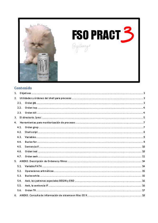 Miniatura del documento FSO-pract-3-COMPLETA.pdf