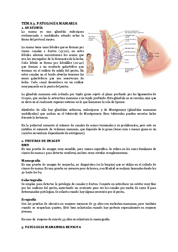 Miniatura del documento TEMA-3.-PATOLOGIA-MAMARIA.pdf