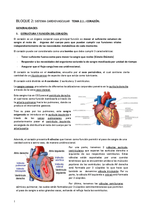 Miniatura del documento tema-2-APS.pdf