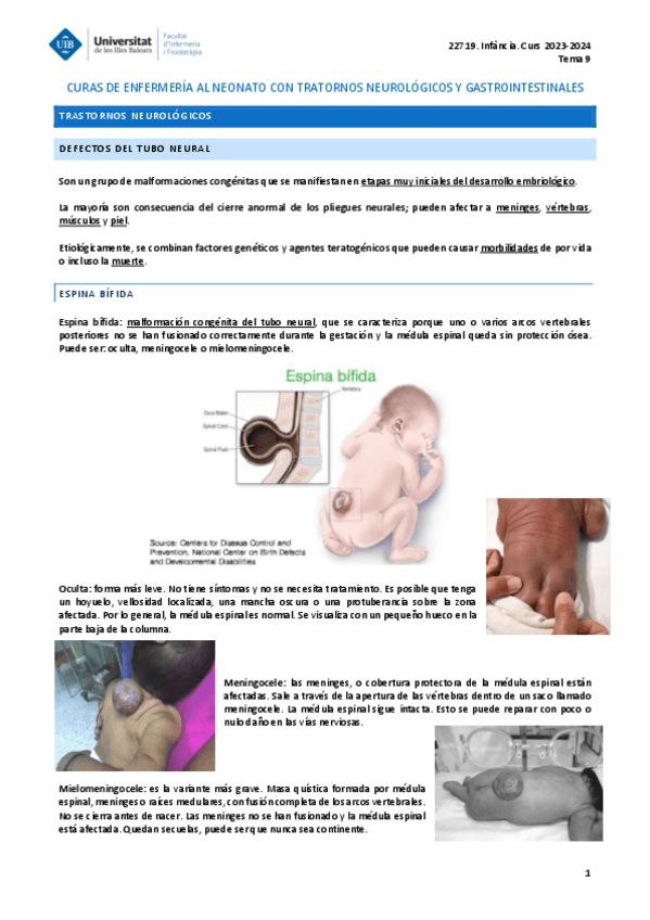 Miniatura del documento INFANICA-TEMA-9.pdf