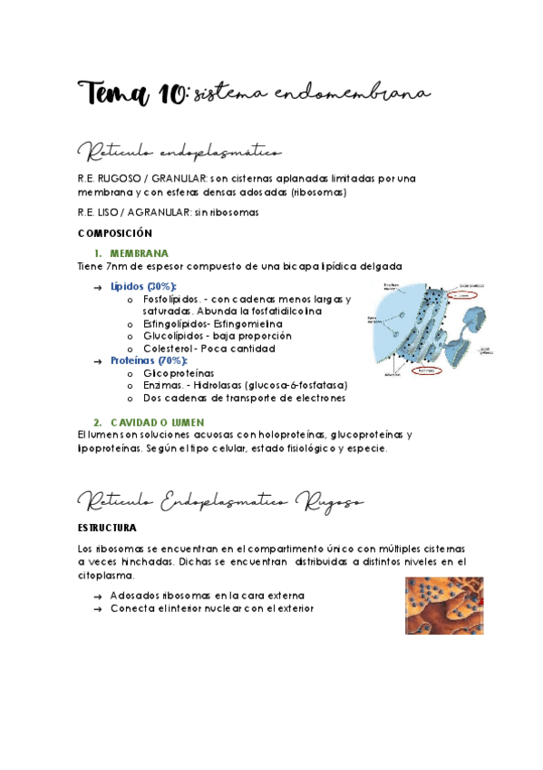 Miniatura del documento TEMA-10.pdf