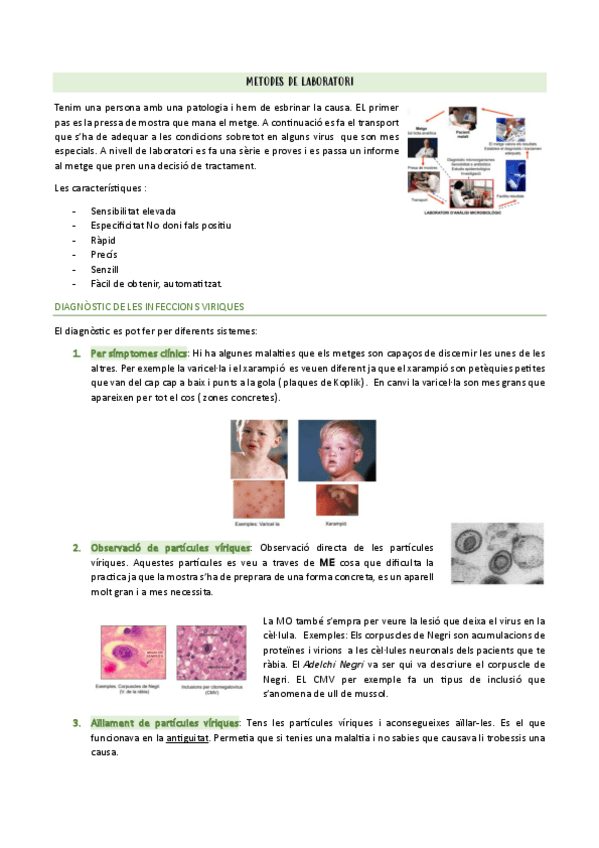 Miniatura del documento 1.2-METODES-DE-LABORATORI.pdf
