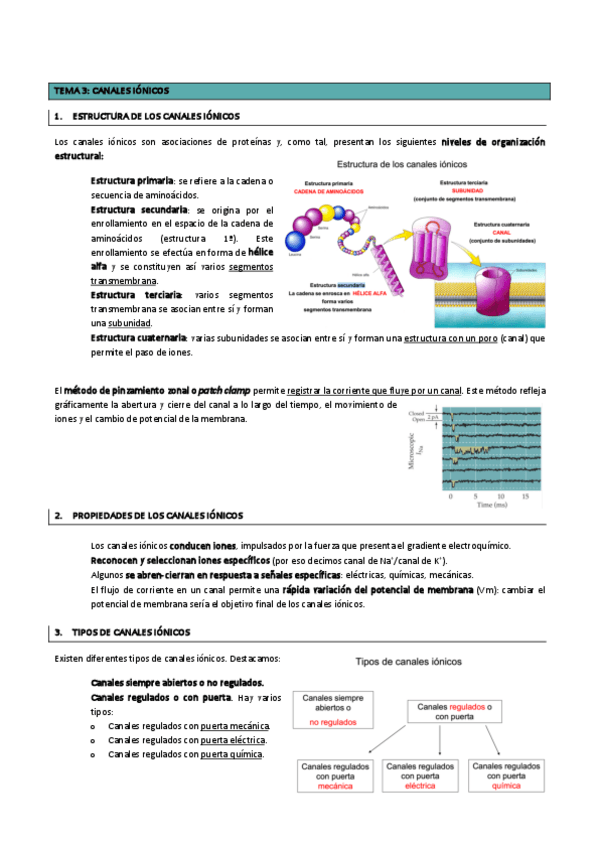 Miniatura del documento TEMA-3-CANALES-IONICOS.-FISIOLOGIA-MEDICA-FERRER-I.pdf