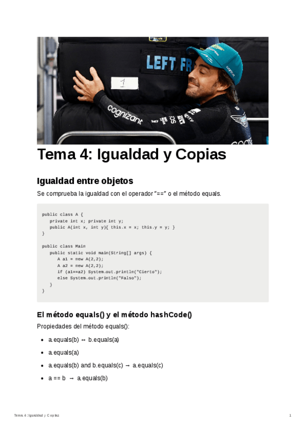 Miniatura del documento Tema-4-Igualdad-y-Copias.pdf