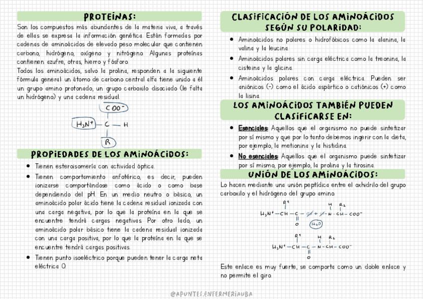Miniatura del documento Proteinas-y-aminoacidos.pdf