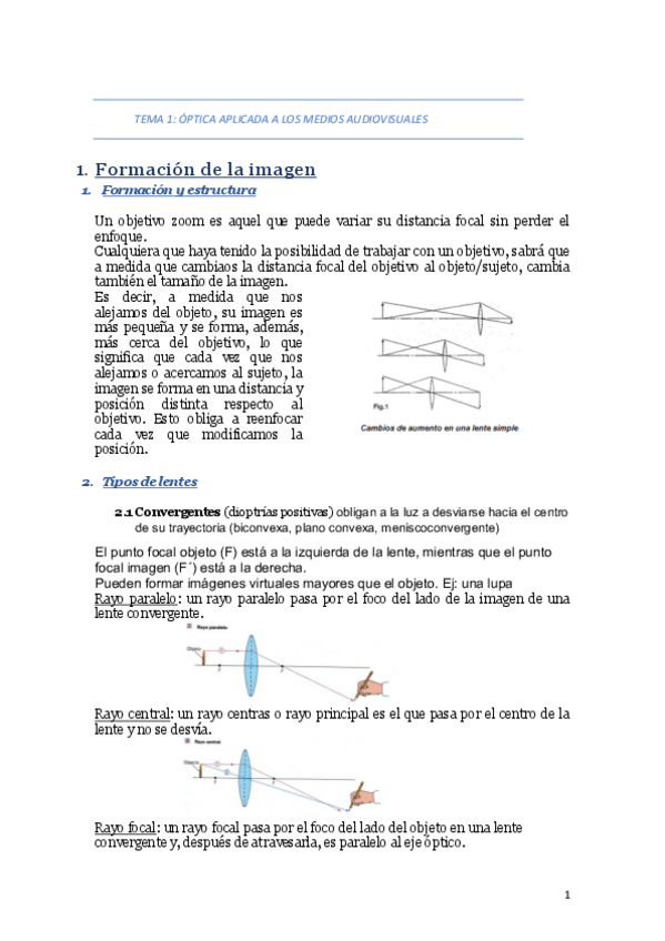 Miniatura del documento TSI REYES.pdf