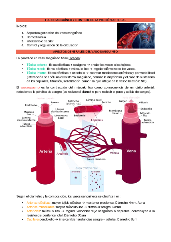 Miniatura del documento tema-2-estructura-y-funcion-II.pdf