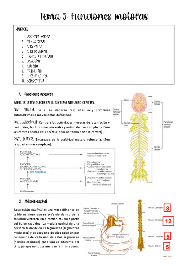 Miniatura del documento tema-5-fisio-animal.pdf