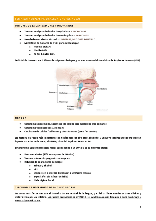 Miniatura del documento Tema-12.pdf