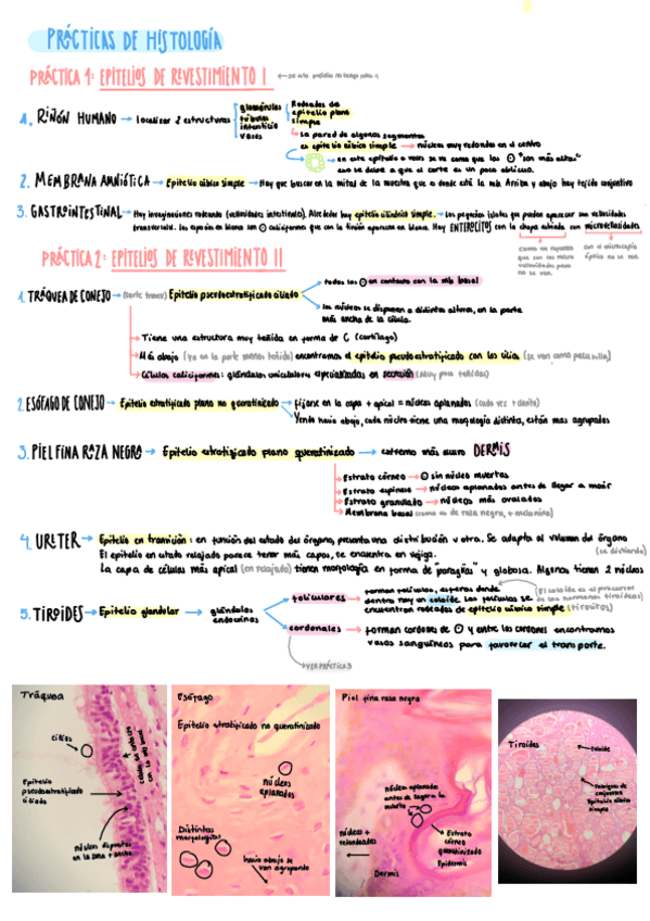 Miniatura del documento Practicas-1-16.pdf