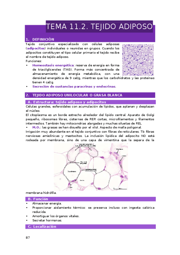 Miniatura del documento TEMA-11.2-11.3.-TEJIDO-ADIPOSO-TEJIDO-CARTILAGINOSO.docx