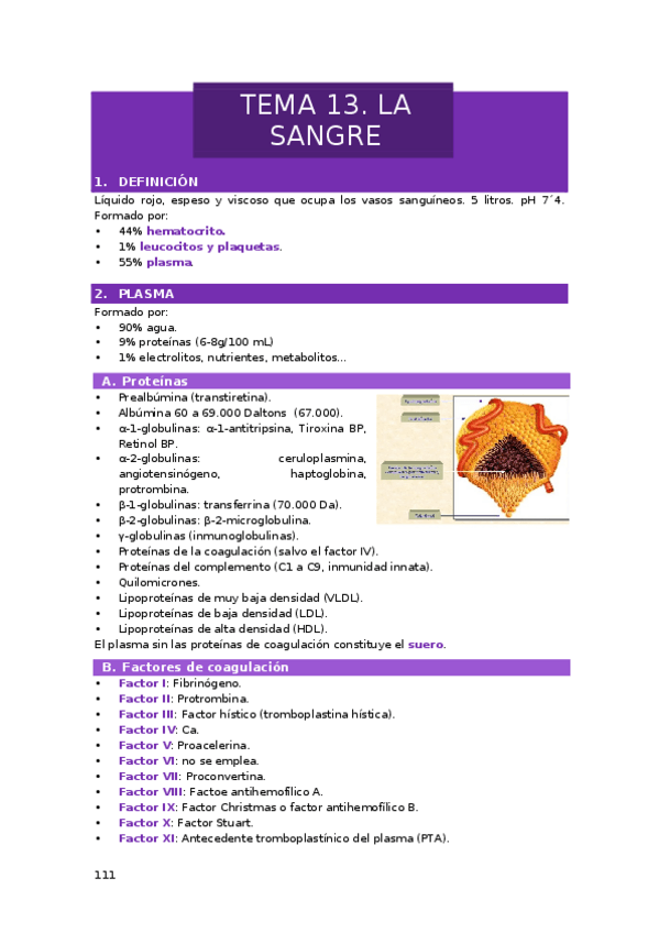 Miniatura del documento TEMA-13.-LA-SANGRE.docx