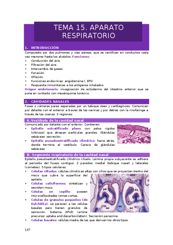Miniatura del documento TEMA-15.-APARATO-RESPIRATORIO.docx