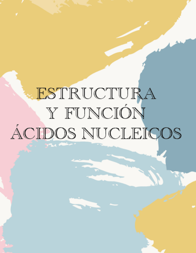 Miniatura del documento Tema-1.-Estructura-y-Funcion-Acidos-Nucleicos.pdf