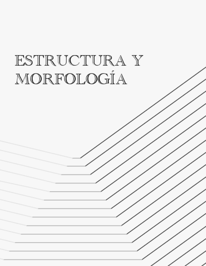 Miniatura del documento Tema-2.-Estructura-y-Morfologia.pdf