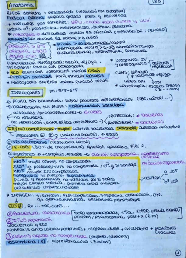 Miniatura del documento resumen-Urologia.pdf