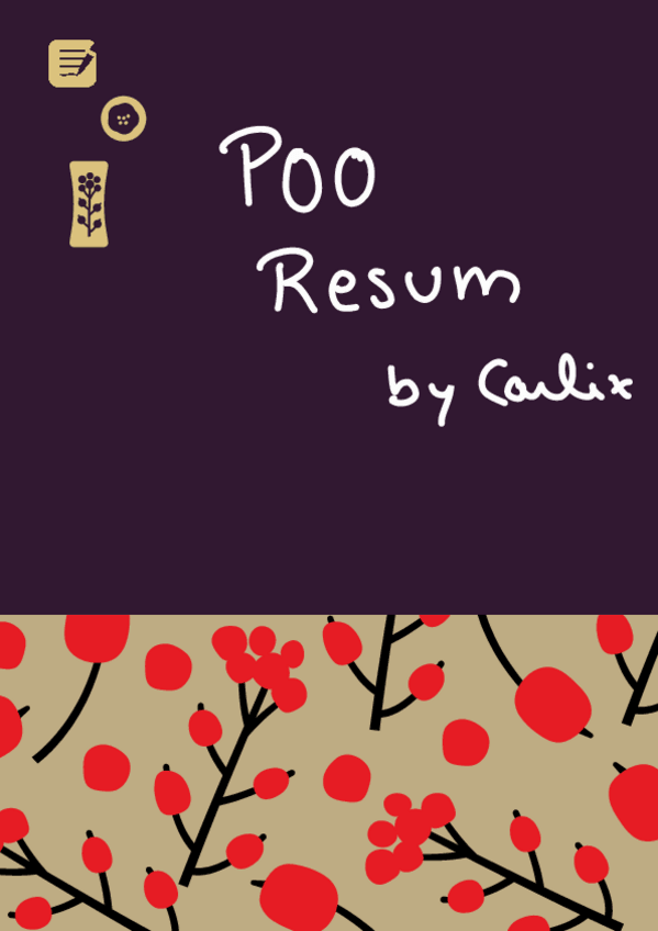 Miniatura del documento POO-RESUM.pdf