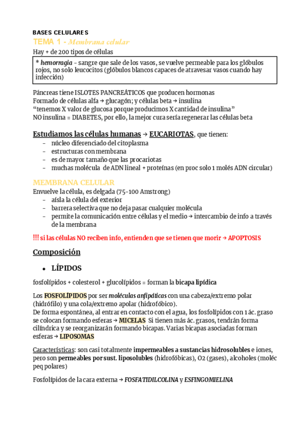 Miniatura del documento BASES-CEL-Tema-1.-Membrana-celular.pdf