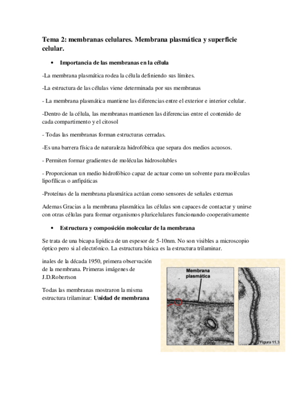 Miniatura del documento Fundamentos de biologia celular.pdf