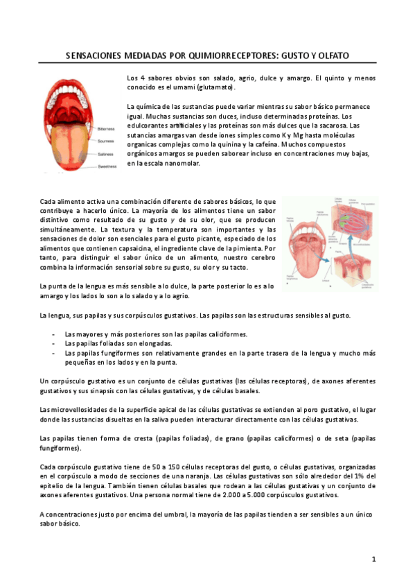 Miniatura del documento tema-4-olfato-y-gusto-2023-24.pdf