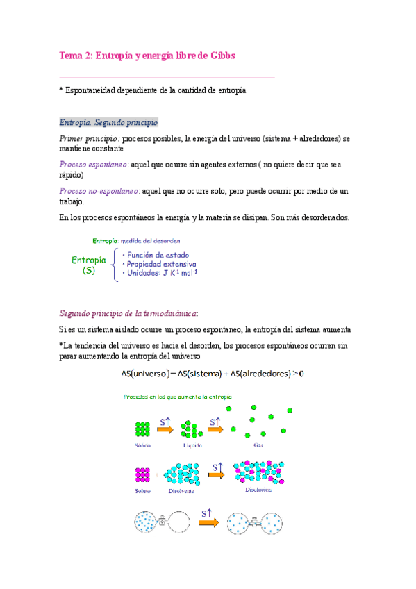 Miniatura del documento Tema-2-Entropia-y-energia-libre-de-Gibbs.pdf