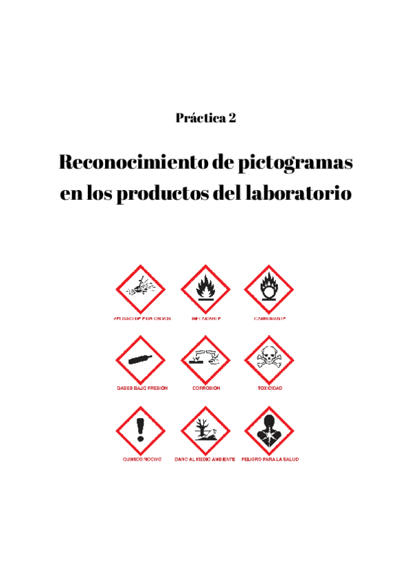 Miniatura del documento Práctica 2 - Reconocimiento de pictogramas en los productos del laboratorio.pdf