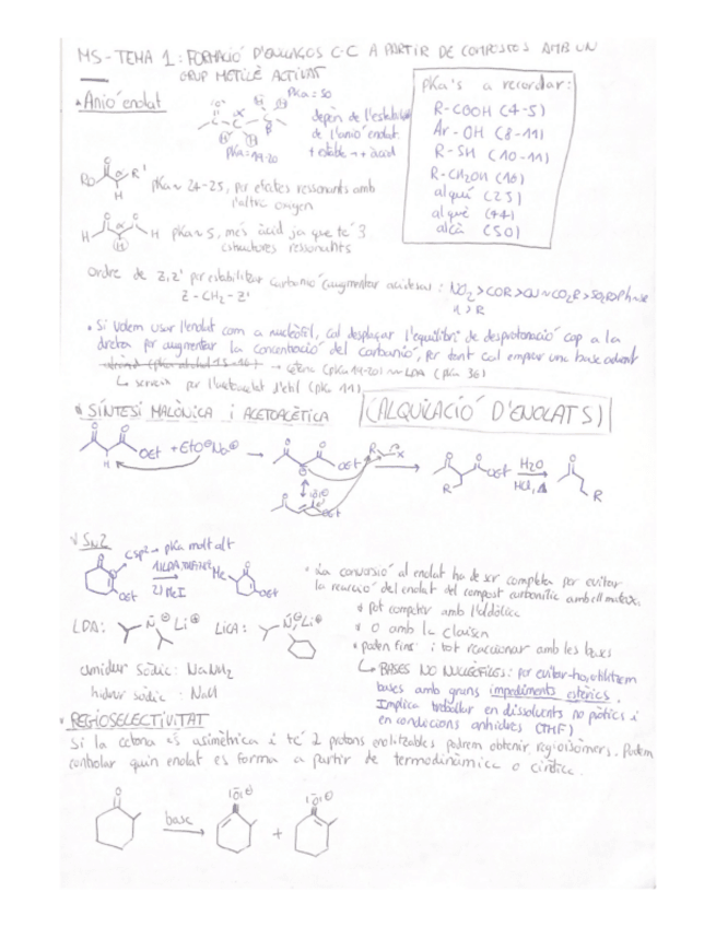 Miniatura del documento TEMA-1-FORMACIO-DENLLACOS-C-C-A-PARTIR-DE-COMPOSTOS-AMB-UN-GRUP-METILE-ACTIVAT.pdf