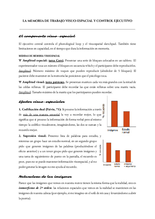 Miniatura del documento TEMA-2B-MEMORIA-TRABAJO-VISOESPACIAL.pdf