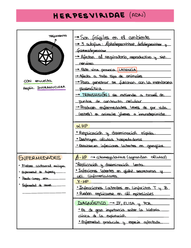 Miniatura del documento SEMINARIO-3-FICHAS.pdf