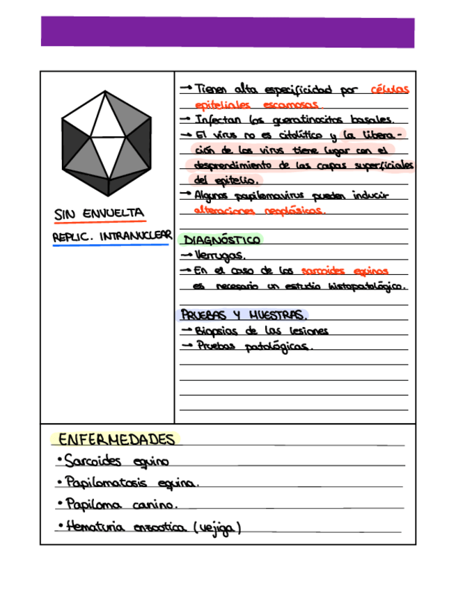 Miniatura del documento SEMINARIO-4-FICHAS.pdf