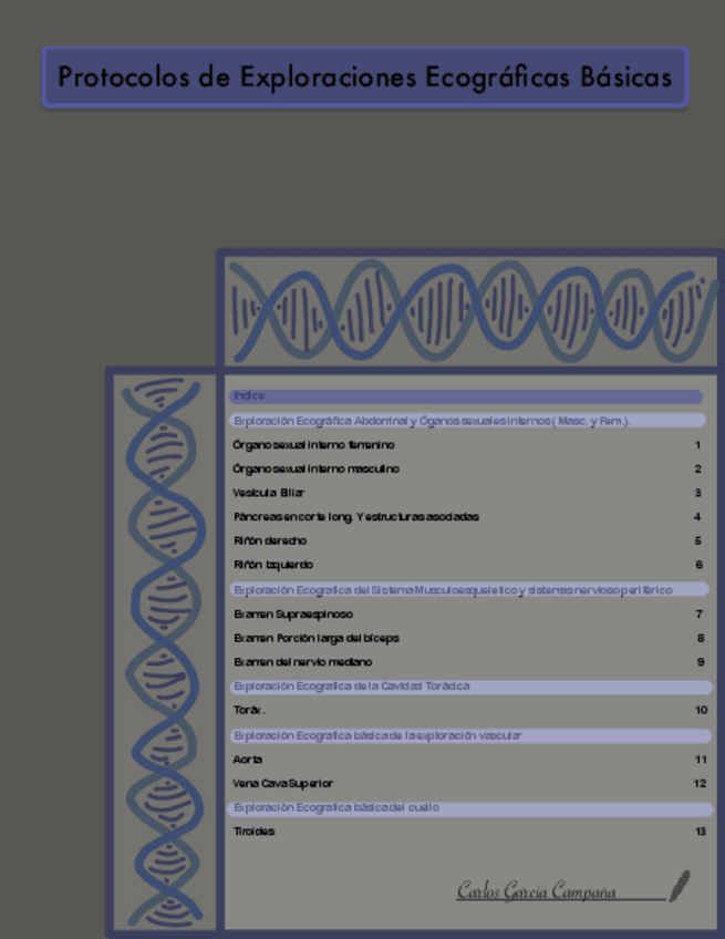 Miniatura del documento Protocolos-Basicos-ECOCGC.pdf