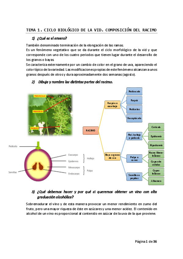 Miniatura del documento PREGUNTAS EXAMEN.pdf