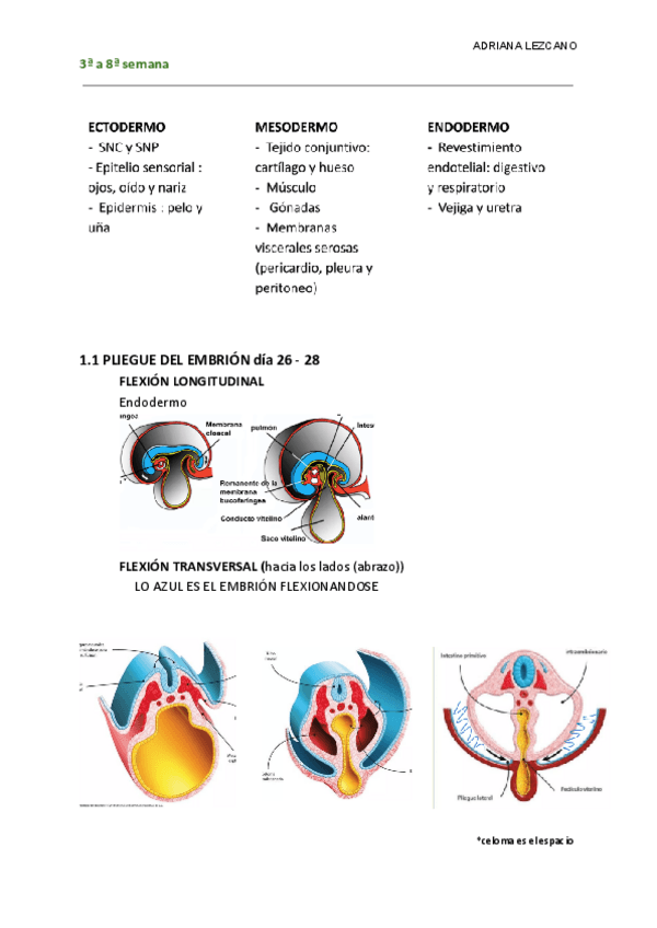 Miniatura del documento PLIEGUES-OCT-2023.pdf