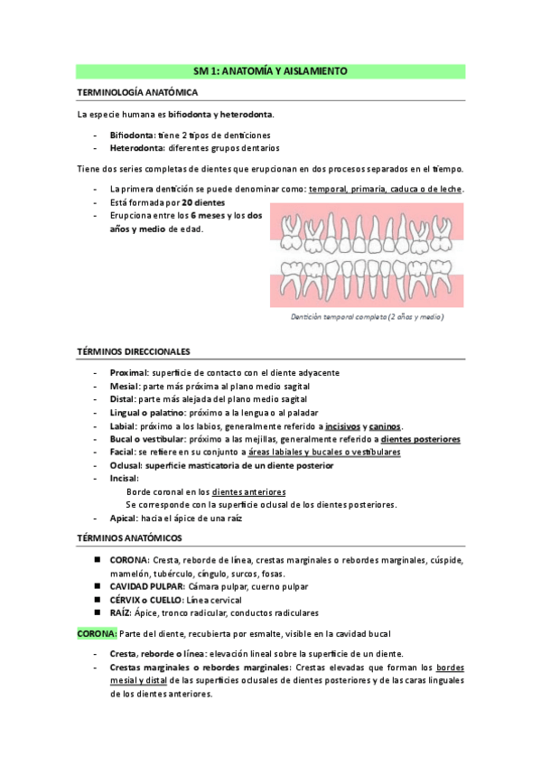 Miniatura del documento SM-1-ANATOMIA-Y-AISLAMIENTO.pdf