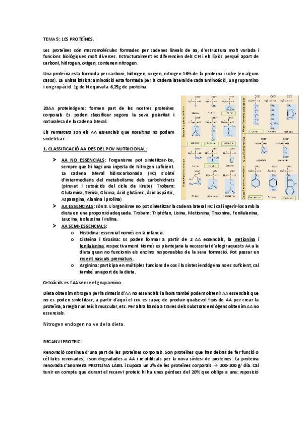 Miniatura del documento proteines-T5.pdf