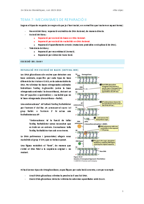 Miniatura del documento Tema-7.-Reparacio-II.pdf