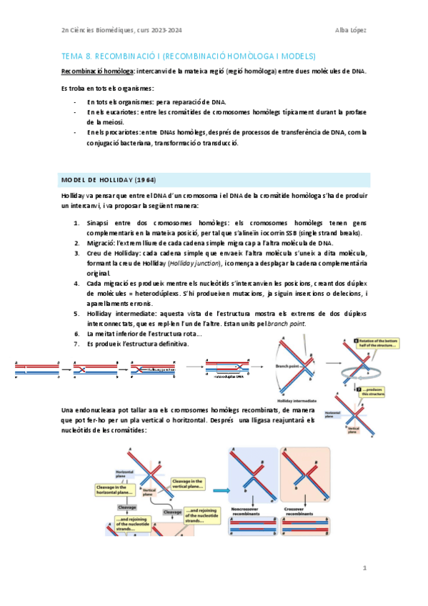 Miniatura del documento Tema-8.-Recombinacio-I.pdf