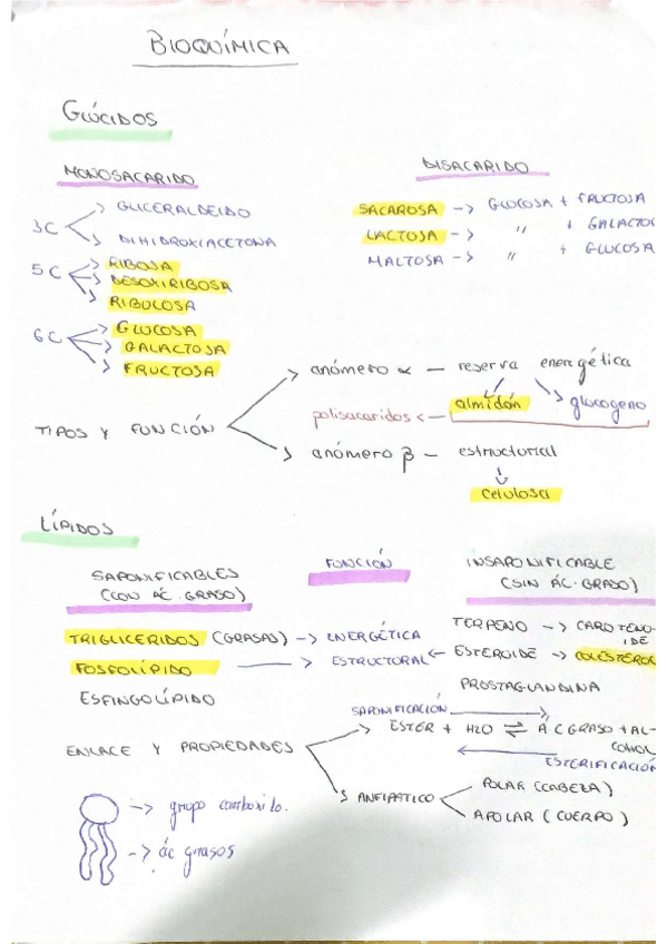 Miniatura del documento BIOQUIMICA.pdf