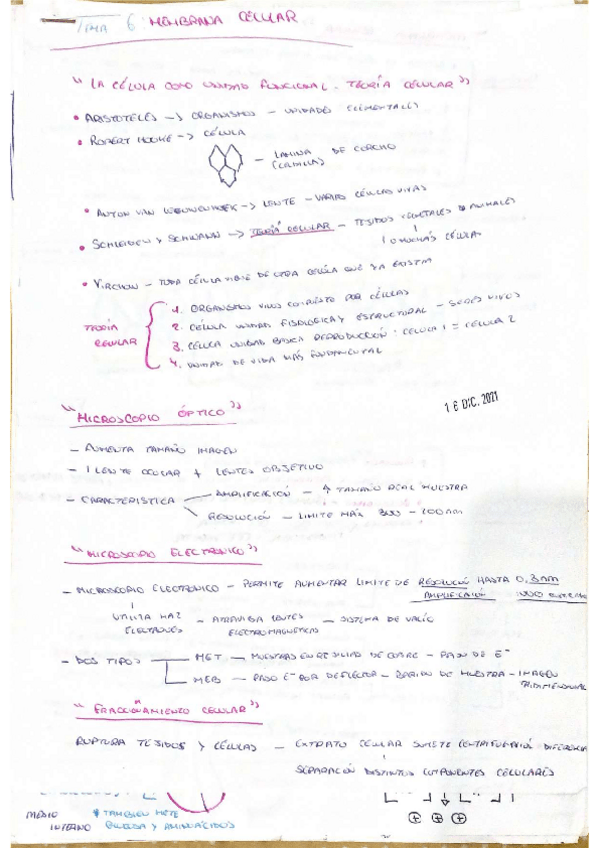 Miniatura del documento TECNICAS-DE-ESTUDIO-CELULAR-MITOSISMEMBRANA-NUCLEAR-ORGANULOS....pdf