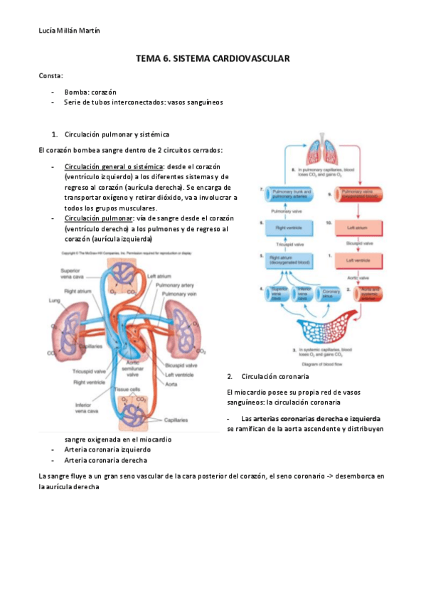 Miniatura del documento TEMA 6.pdf