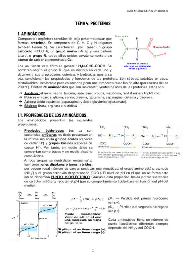 Miniatura del documento Tema-4-Proteinas--Biologia..pdf